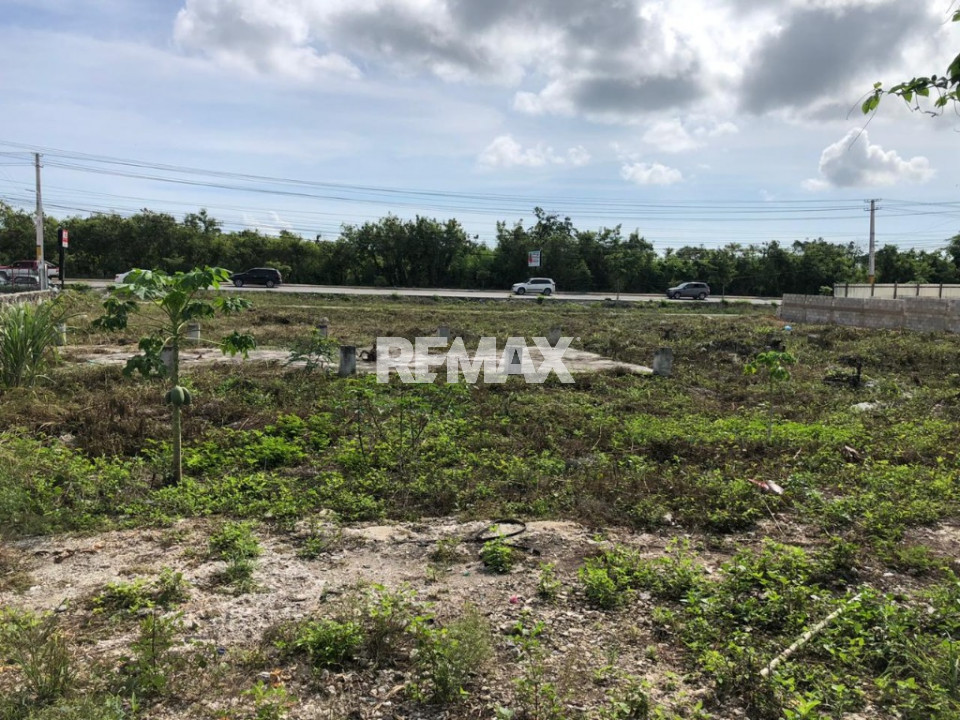 Land en PUNTA CANA, BAVARO