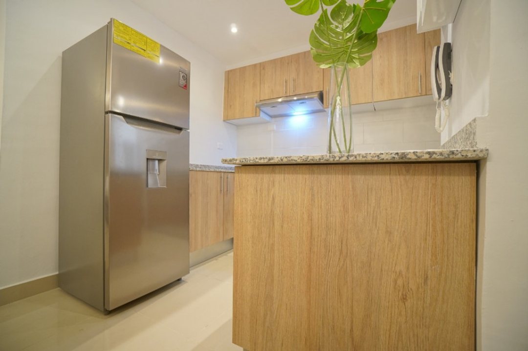 Proyecto en Santo Domingo Este (Cabecera), Las Americas