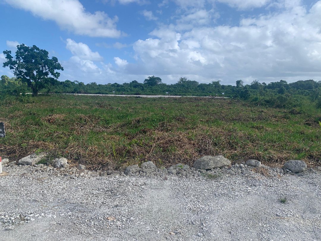 Proyecto en Bavaro, Punta Cana