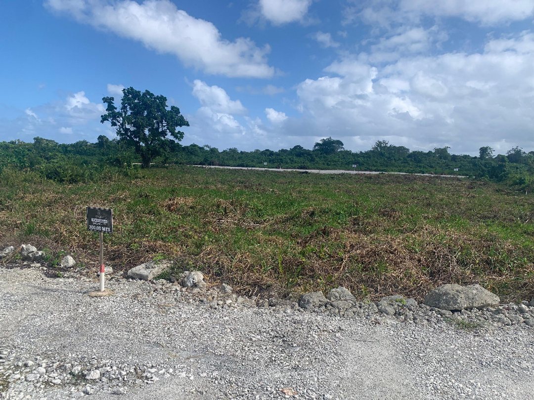 Proyecto en Bavaro, Punta Cana