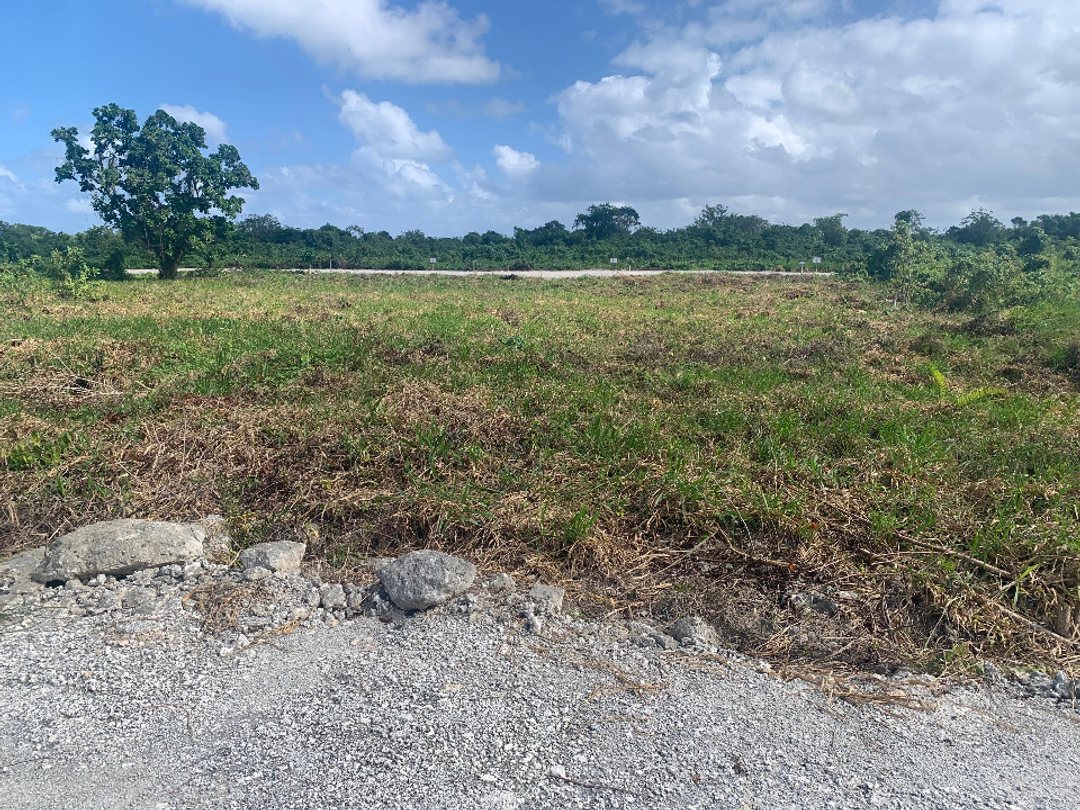 Proyecto en Bavaro, Punta Cana