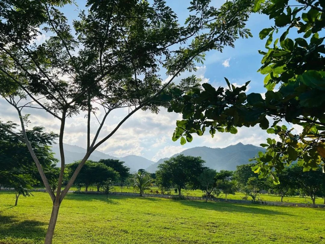 Project en Bonao (Cabecera), Jayaco Abajo