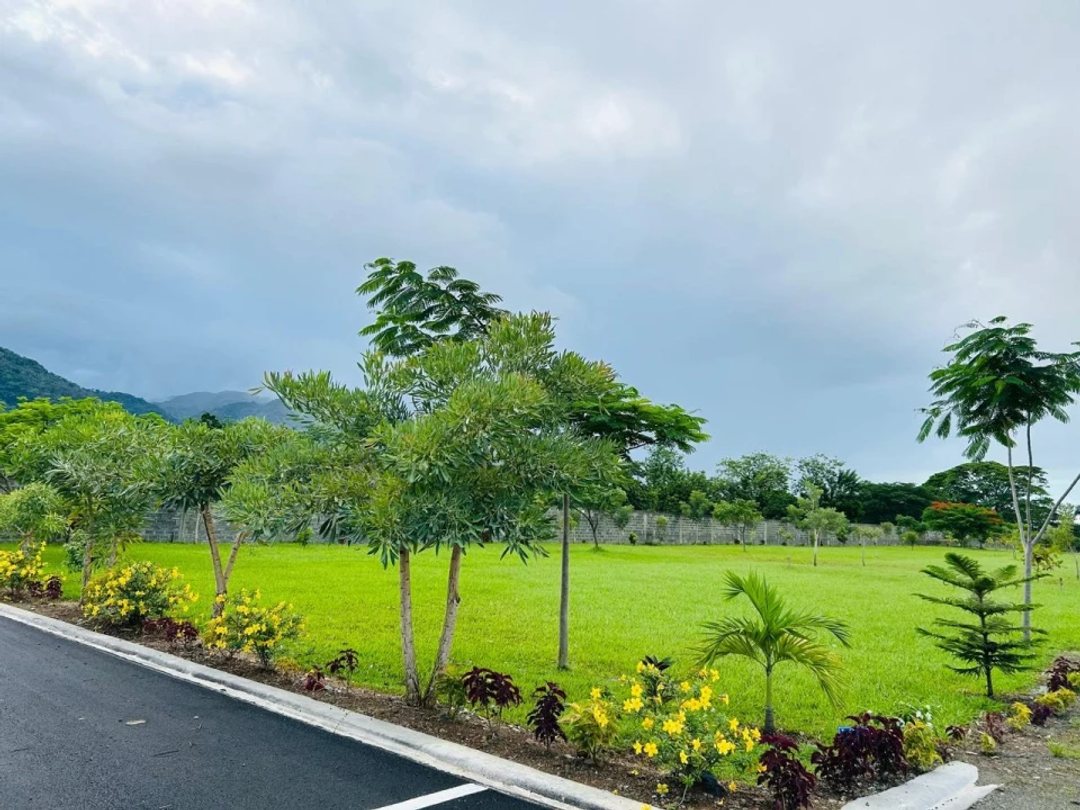 Project en Bonao (Cabecera), Jayaco Abajo