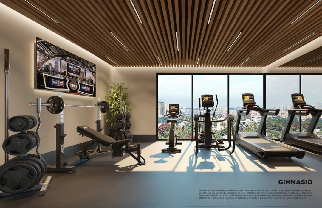 Proyecto en Santo Domingo Este (Cabecera), Savica