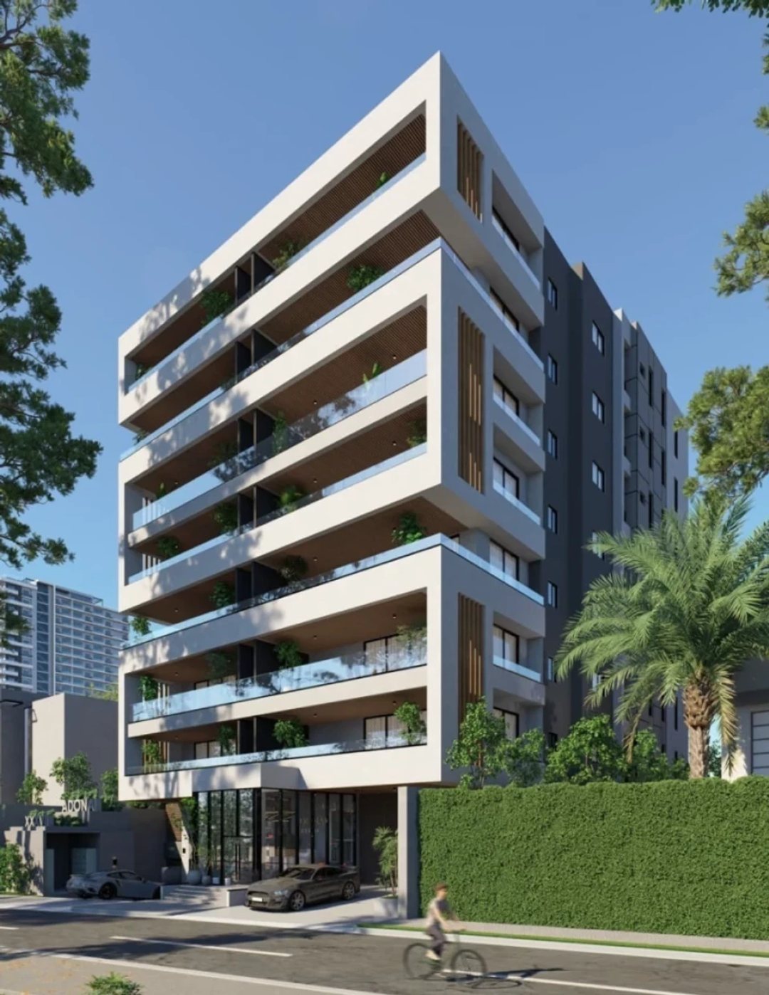 Project en Santo Domingo De Guzman, Los Cacicazgos