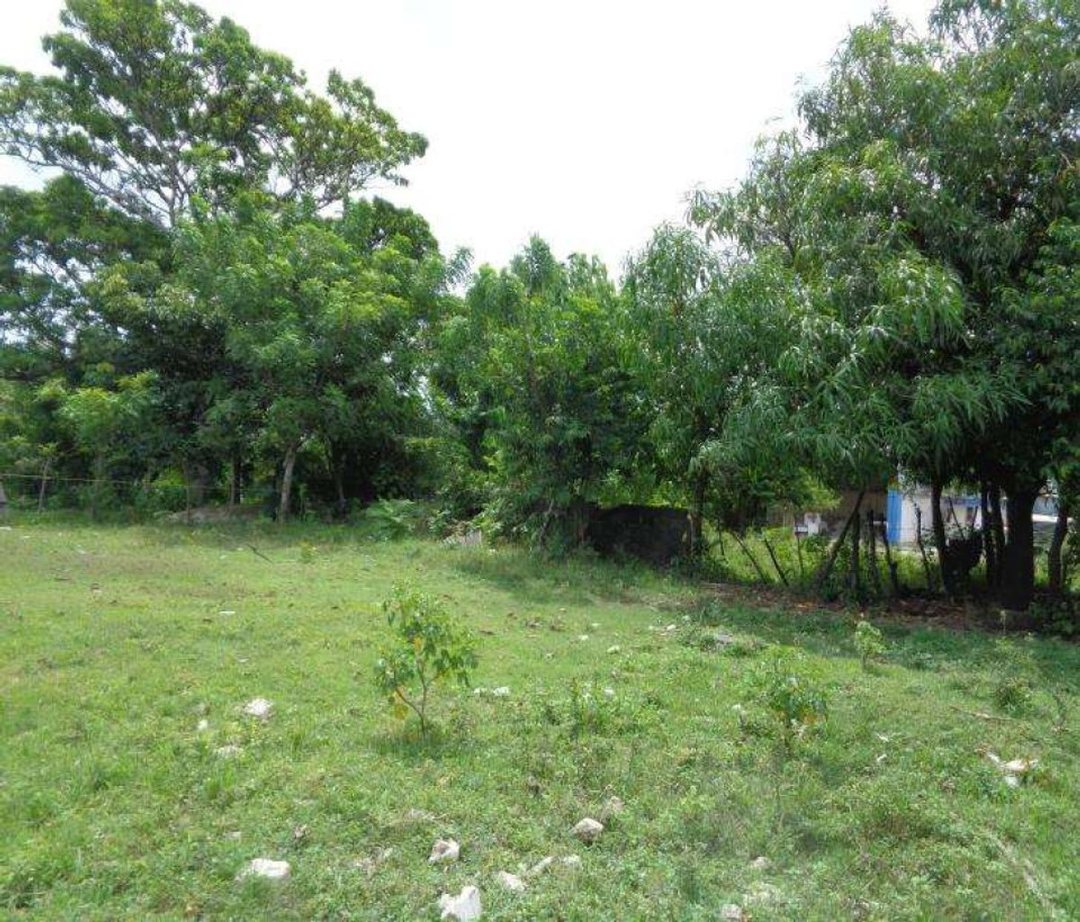 Terreno en Pedro Brand (Cabecera), Kilometro 22