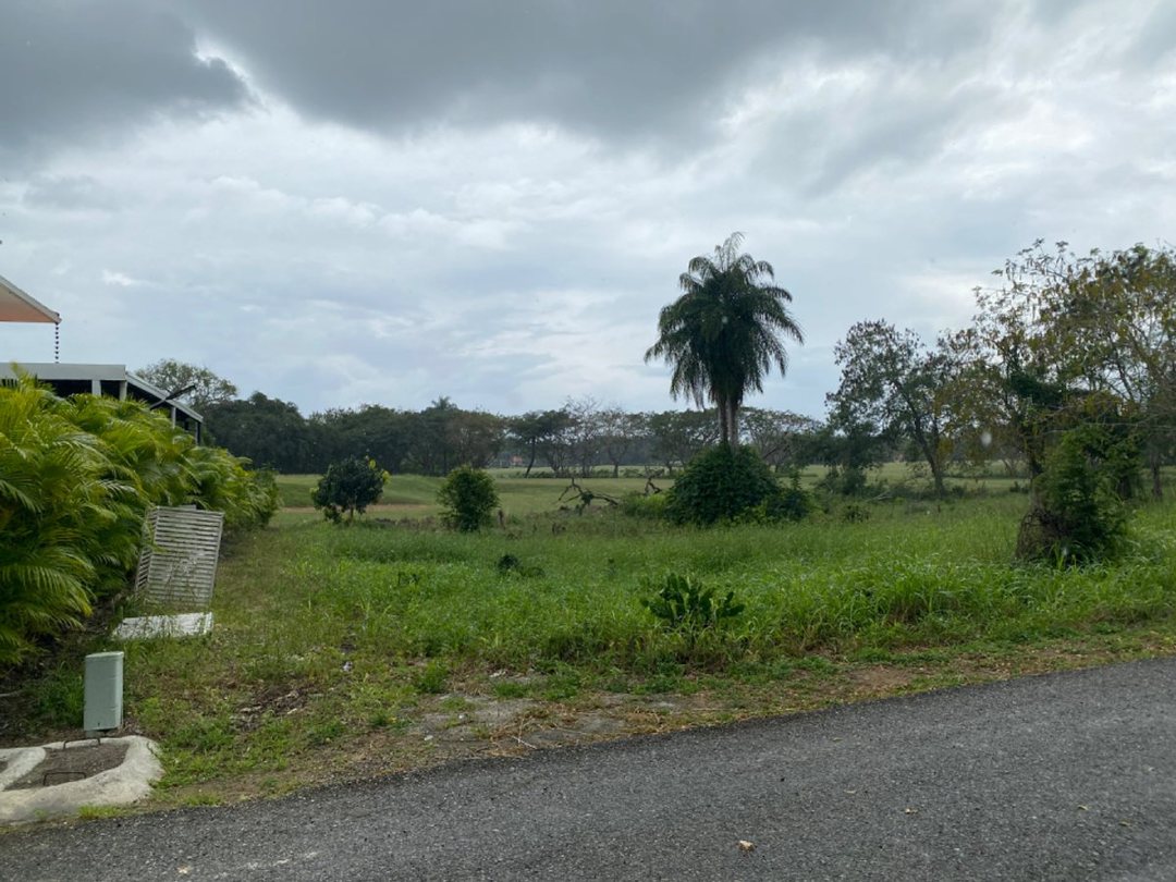 Land en San Pedro De Macoris (Cabecera), Juan Dolio