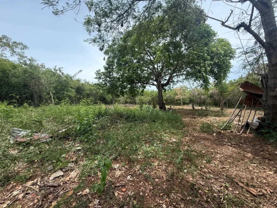 Land en Guayacanes (Cabecera), Juan Dolio