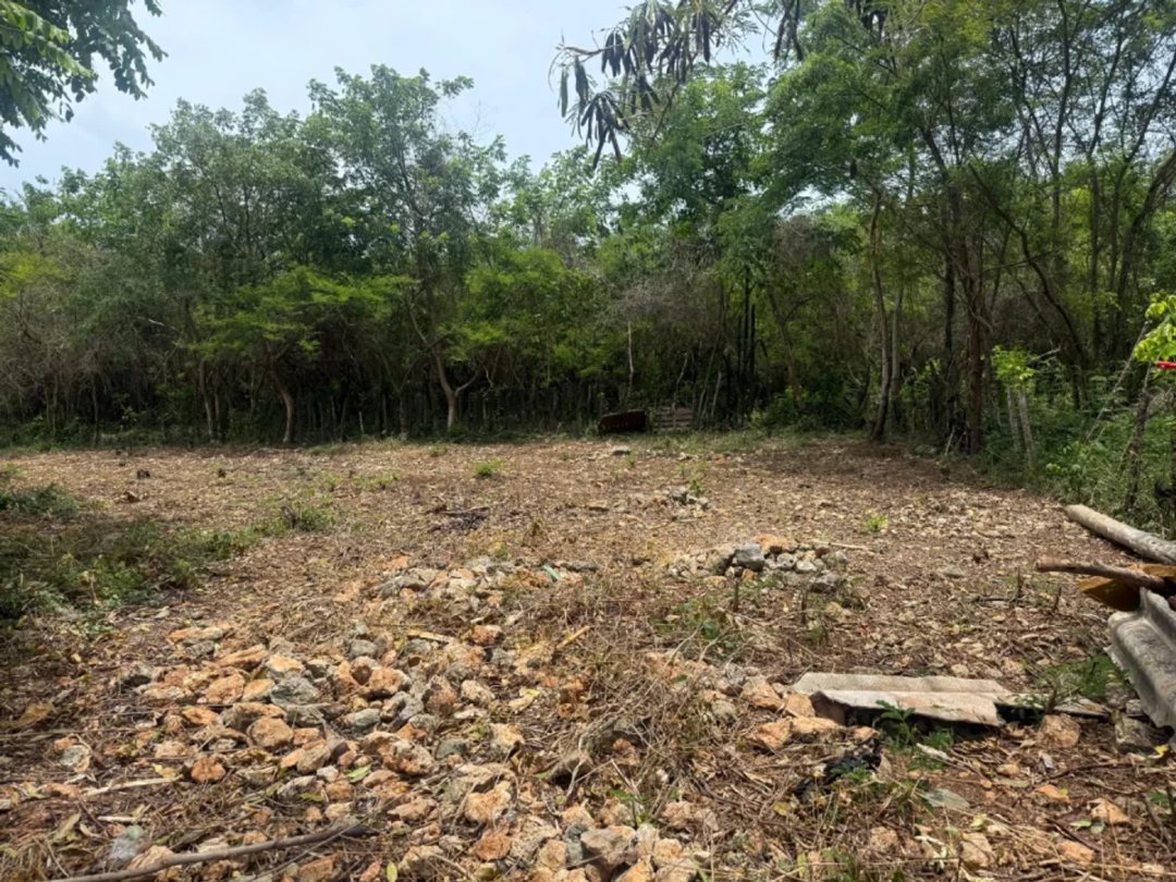 Land en Guayacanes (Cabecera), Juan Dolio