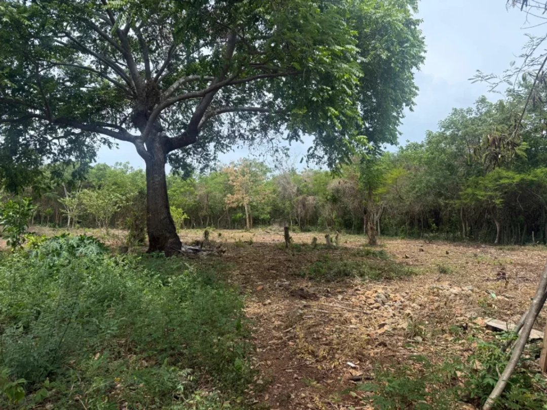 Land en Guayacanes (Cabecera), Juan Dolio