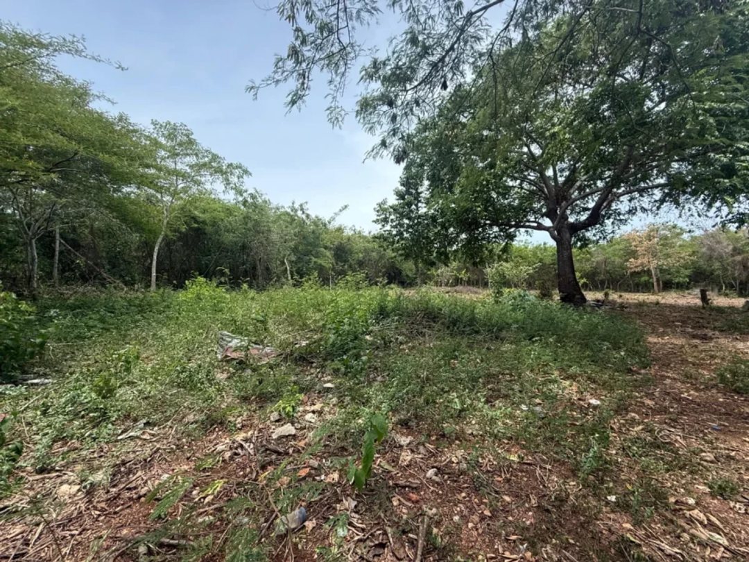 Land en Guayacanes (Cabecera), Juan Dolio