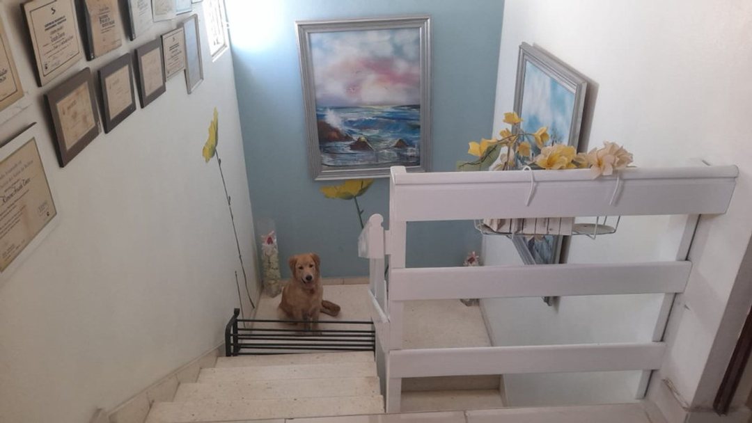 Apartment en Santo Domingo De Guzman, Evaristo Morales