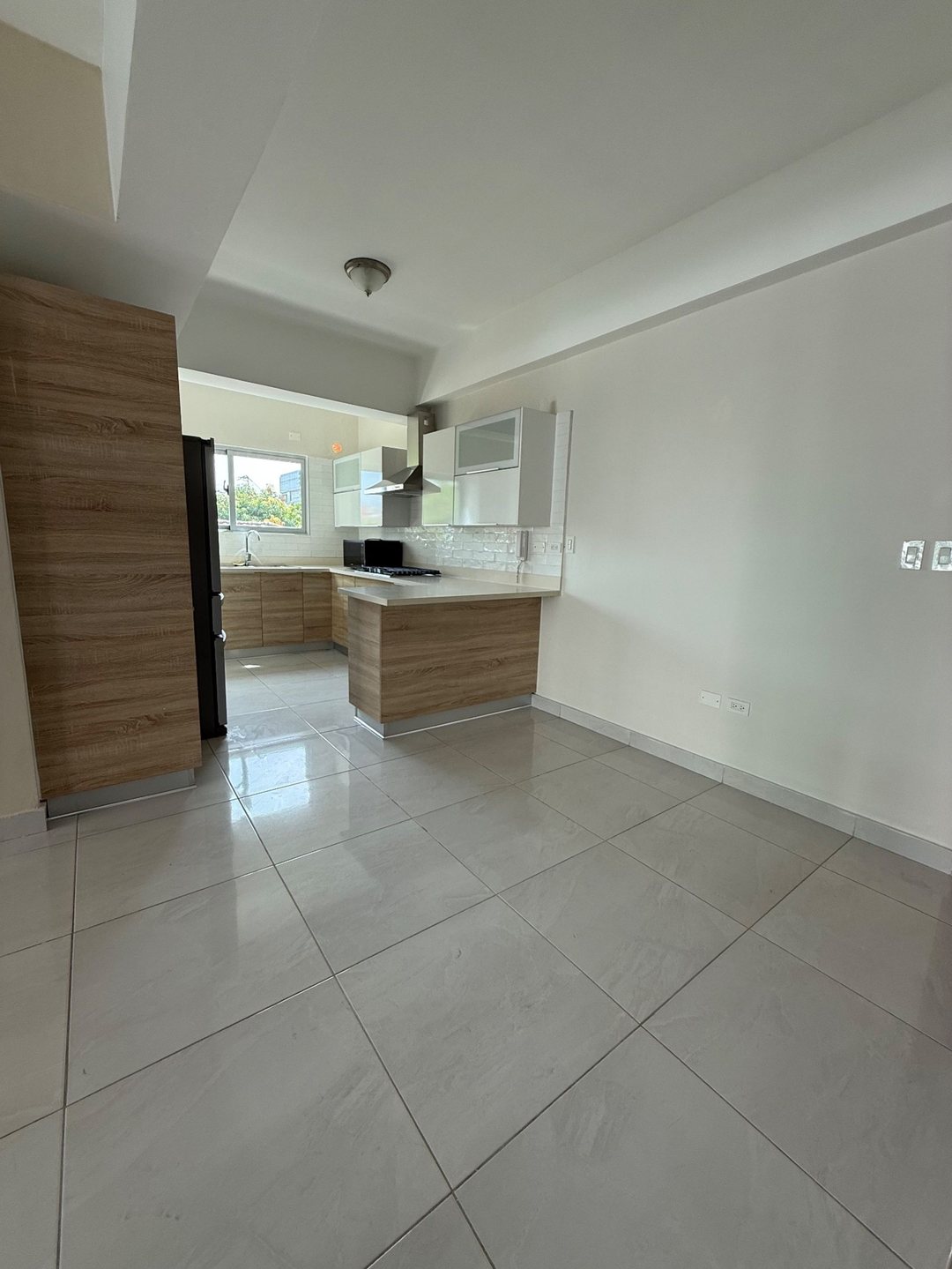 Apartment en Santo Domingo De Guzman, Piantini