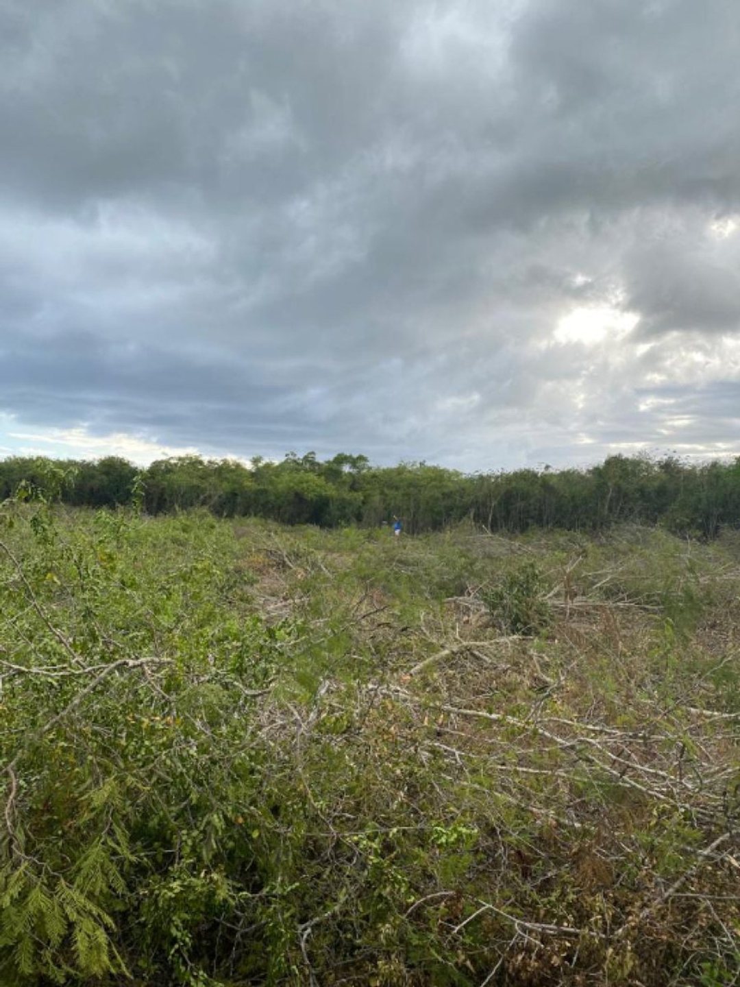Land en San Pedro De Macoris (Cabecera), Juan Dolio