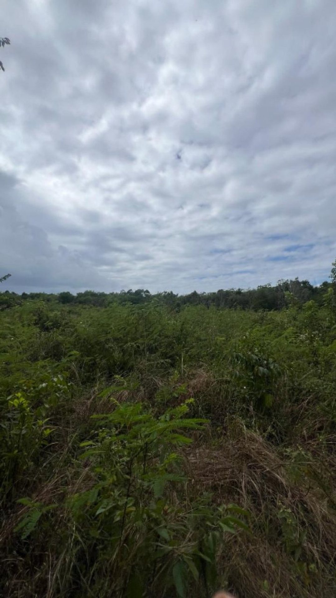 Land en San Pedro De Macoris (Cabecera), Juan Dolio