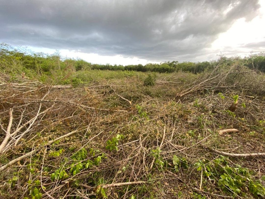 Land en San Pedro De Macoris (Cabecera), Juan Dolio