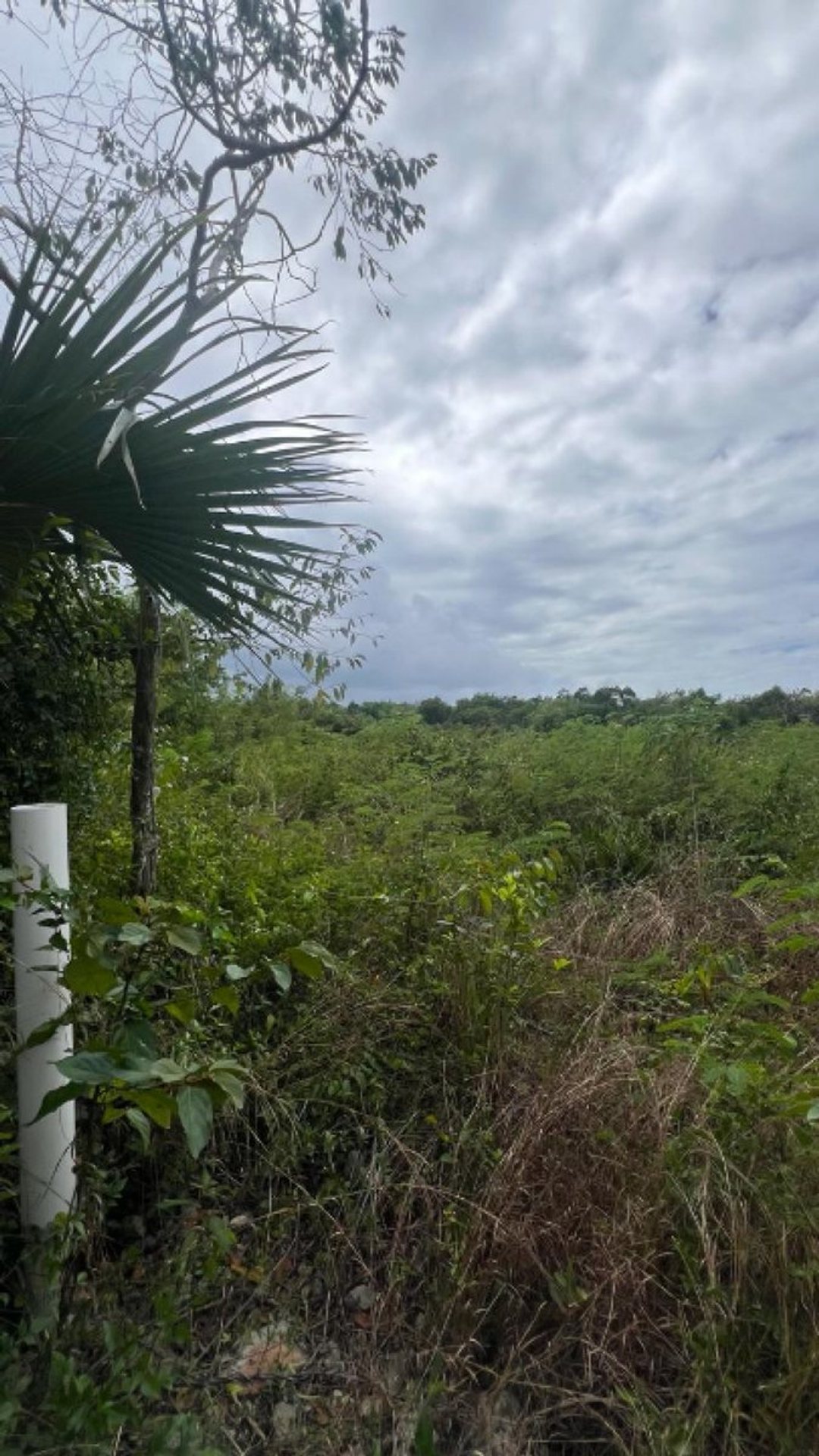 Land en San Pedro De Macoris (Cabecera), Juan Dolio