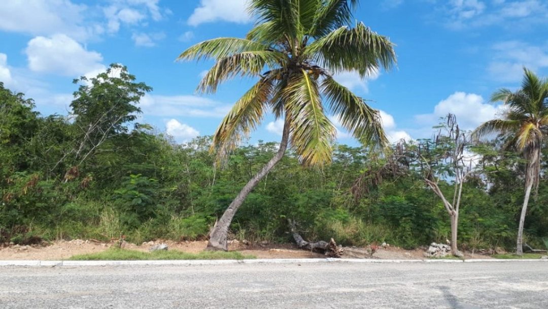 Terreno en Guayacanes (Cabecera), Juan Dolio