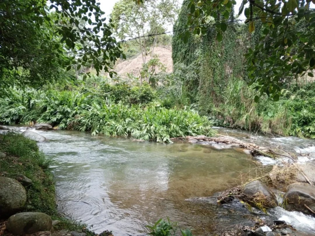 Terreno en Jarabacoa (Cabecera), Manabao