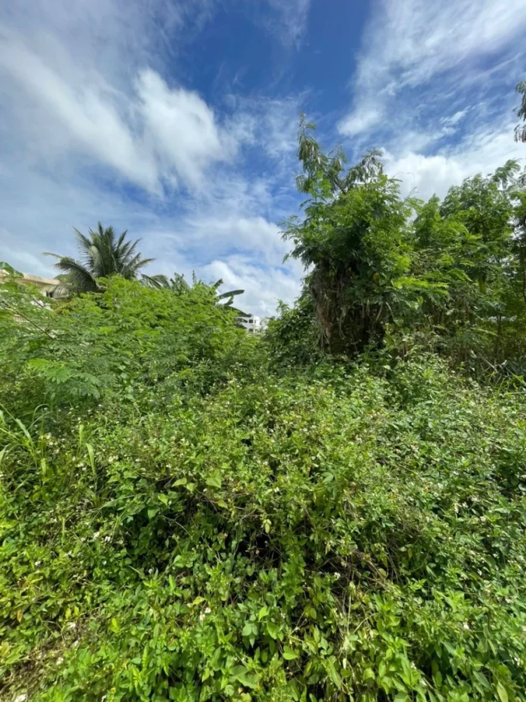 Terreno en Santo Domingo De Guzman, Autopista Duarte