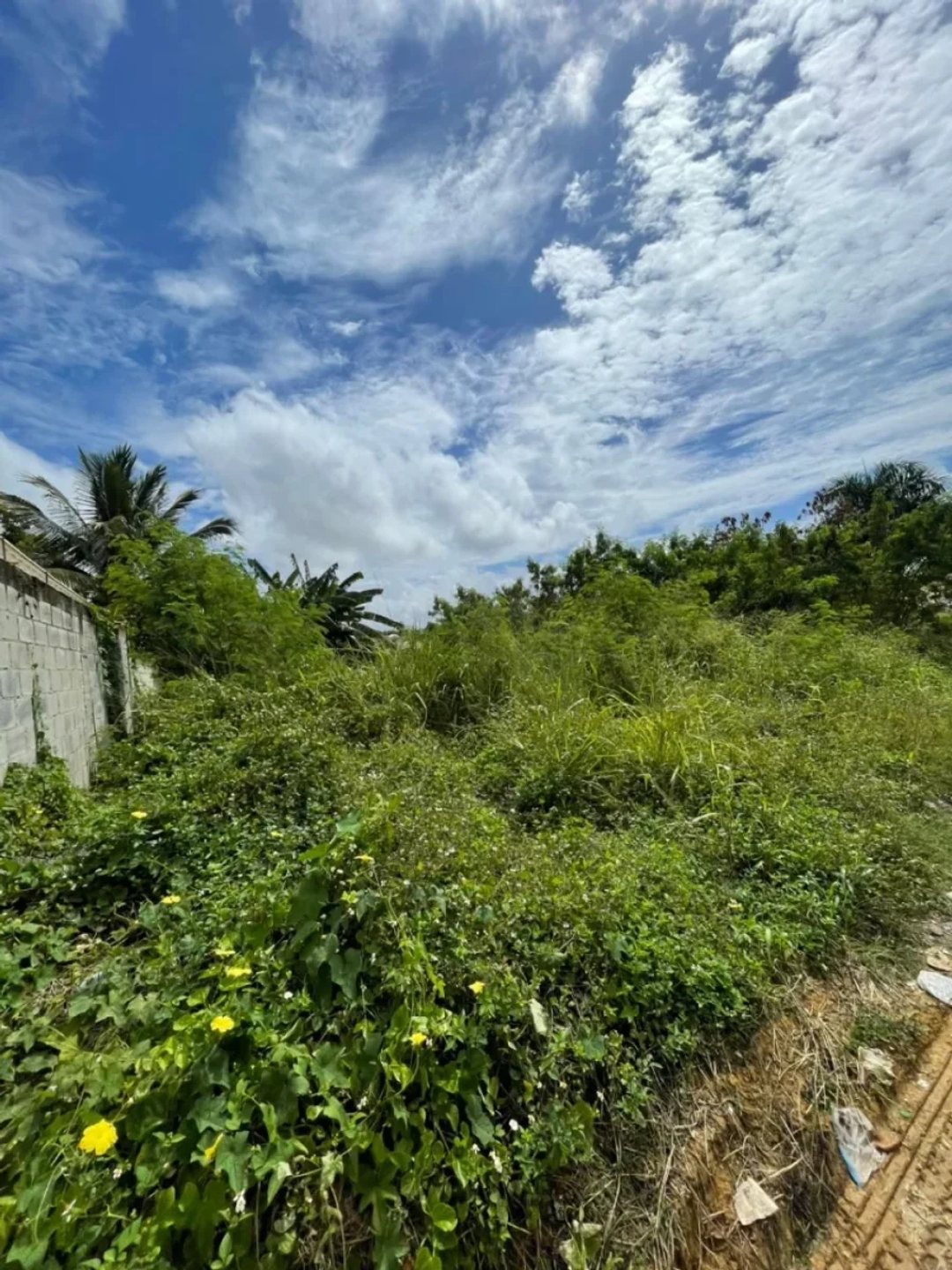 Terreno en Santo Domingo De Guzman, Autopista Duarte